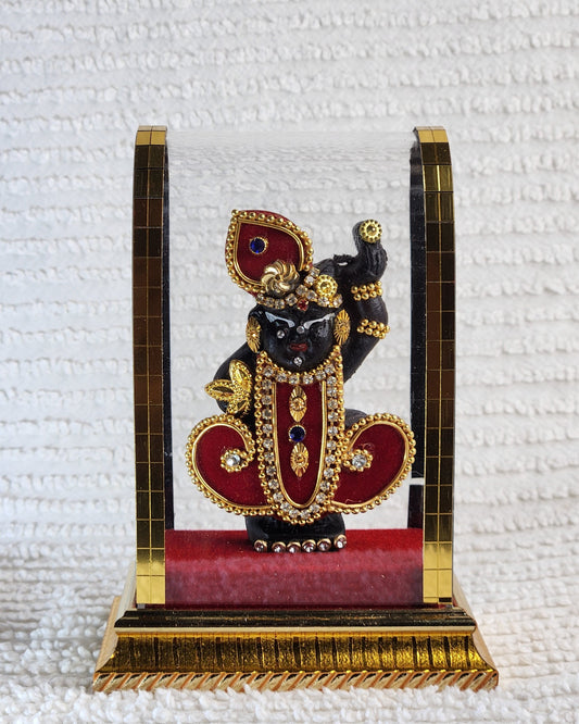 Lord Shrinathji